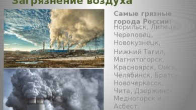 Photo of Проблемы экологии в России
